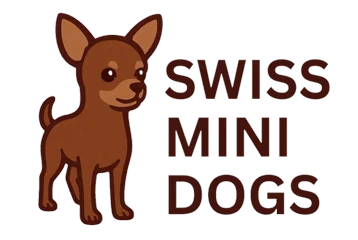 Swiss Mini Dogs
